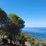 L'aia