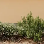 Holiday home L'aia San Mauro Cilento