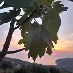 L'aia * San Mauro Cilento