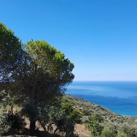L'aia