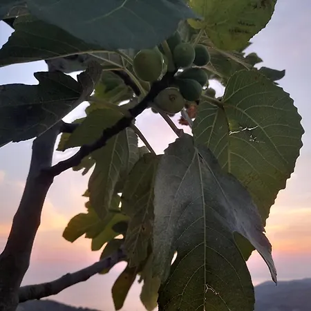 L'aia Holiday home San Mauro Cilento