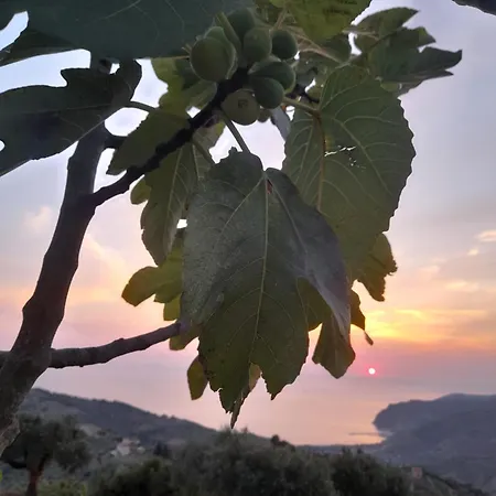 L'aia * San Mauro Cilento