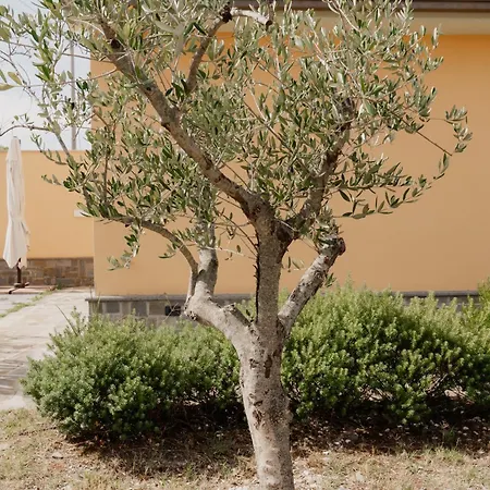 L'aia Vakantiehuis *